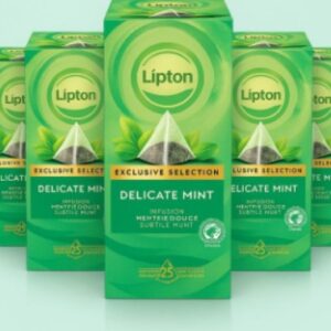 LIPTON DELICATE MINT Envoloped Tea Bags - 6 x 25 Pack