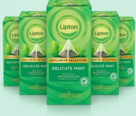 LIPTON DELICATE MINT Envoloped Tea Bags - 6 x 25 Pack
